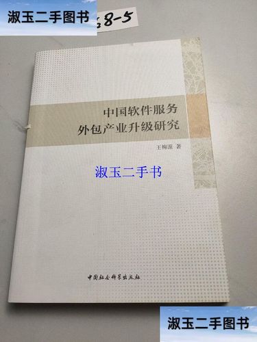 中国软件服务外包产业升级研究 以王梅源与中国社会科学院视角为中心
